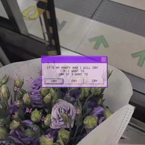 越南女兵别动队1986版电影免费观看
